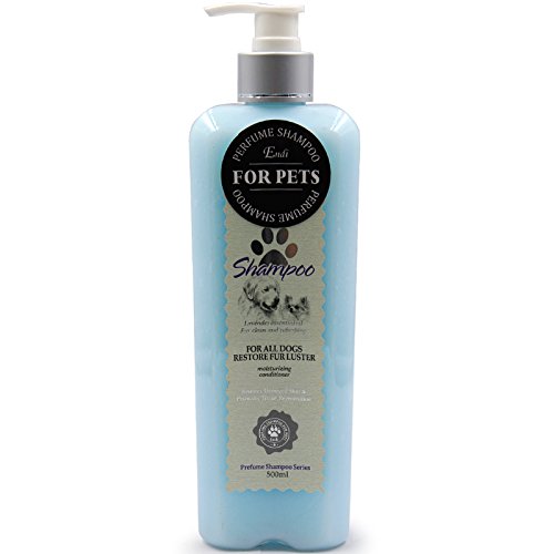 🐾 شامپو همه‌کاره اندی – Endi Customized Shampoo for All Dogs